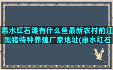 惠水红石滩有什么鱼最新农村前江黑猪特种养殖厂家地址(惠水红石滩什么季节去最好)