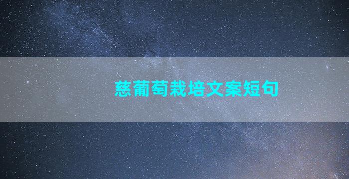 慈葡萄栽培文案短句