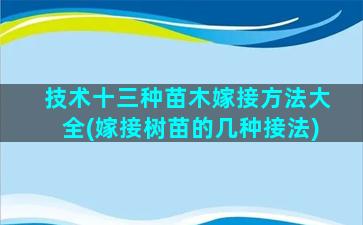 技术十三种苗木嫁接方法大全(嫁接树苗的几种接法)