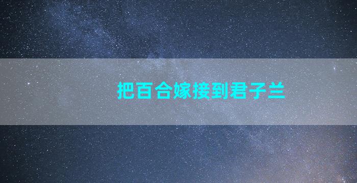 把百合嫁接到君子兰