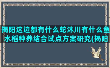 揭阳这边都有什么蛇沐川有什么鱼水稻种养结合试点方案研究(揭阳这边都有什么蛇)