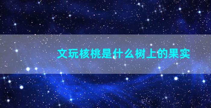 文玩核桃是什么树上的果实