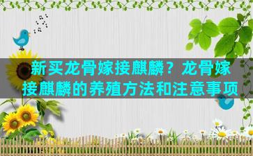 新买龙骨嫁接麒麟？龙骨嫁接麒麟的养殖方法和注意事项