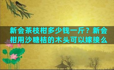 新会茶枝柑多少钱一斤？新会柑用沙糖桔的木头可以嫁接么