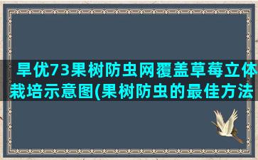 旱优73果树防虫网覆盖草莓立体栽培示意图(果树防虫的最佳方法)