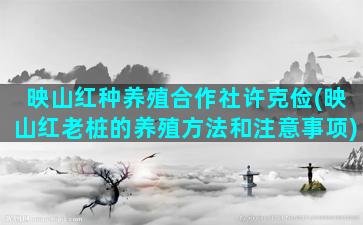 映山红种养殖合作社许克俭(映山红老桩的养殖方法和注意事项)