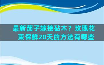 最新茄子嫁接砧木？玫瑰花束保鲜20天的方法有哪些