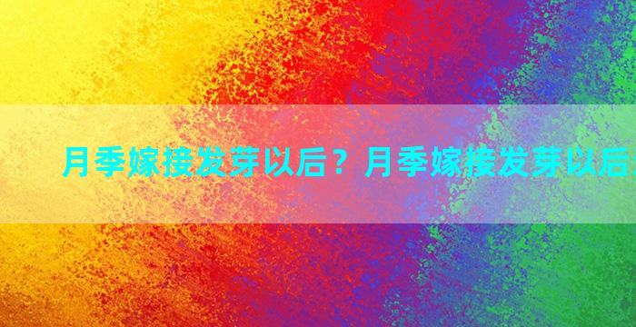 月季嫁接发芽以后？月季嫁接发芽以后还能活吗