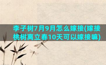 李子树7月9月怎么嫁接(嫁接桃树离立春10天可以嫁接嘛)