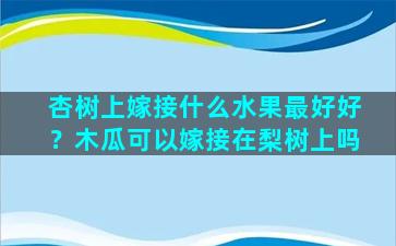 杏树上嫁接什么水果最好好？木瓜可以嫁接在梨树上吗