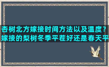 杏树北方嫁接时间方法以及温度？嫁接的梨树冬季平茬好还是春天平茬好