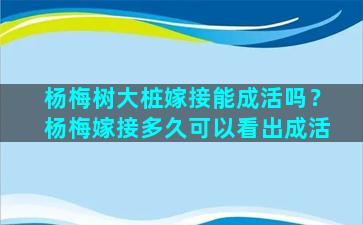 杨梅树大桩嫁接能成活吗？杨梅嫁接多久可以看出成活