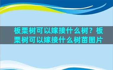 板栗树可以嫁接什么树？板栗树可以嫁接什么树苗图片