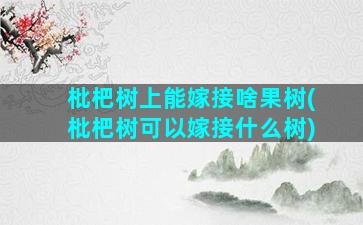 枇杷树上能嫁接啥果树(枇杷树可以嫁接什么树)