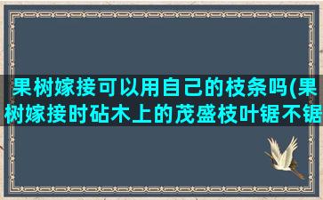 果树嫁接可以用自己的枝条吗(果树嫁接时砧木上的茂盛枝叶锯不锯掉)