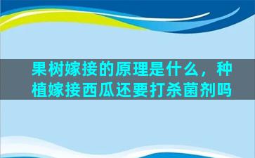 果树嫁接的原理是什么，种植嫁接西瓜还要打杀菌剂吗