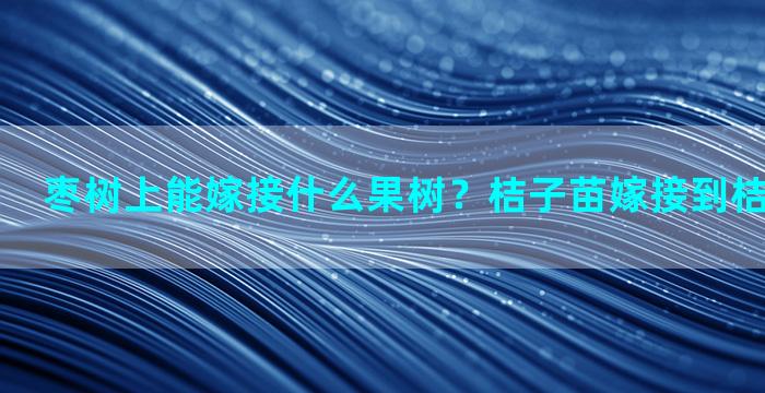 枣树上能嫁接什么果树？桔子苗嫁接到桔子树上好吗