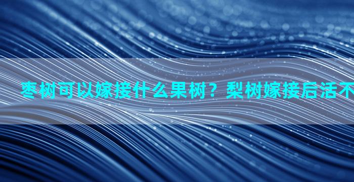 枣树可以嫁接什么果树？梨树嫁接后活不活怎么知道