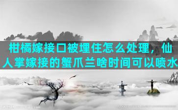 柑橘嫁接口被埋住怎么处理，仙人掌嫁接的蟹爪兰啥时间可以喷水