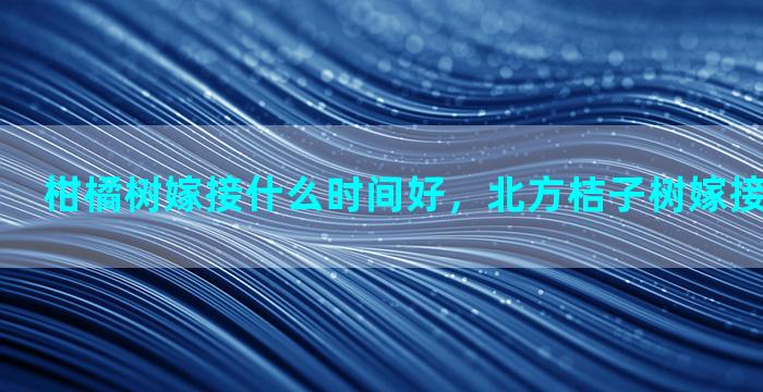 柑橘树嫁接什么时间好，北方桔子树嫁接时间和方法