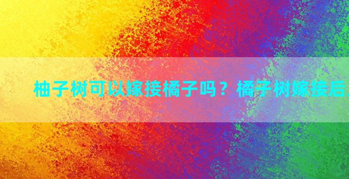 柚子树可以嫁接橘子吗？橘子树嫁接后几天拆膜