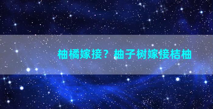 柚橘嫁接？柚子树嫁接桔柚