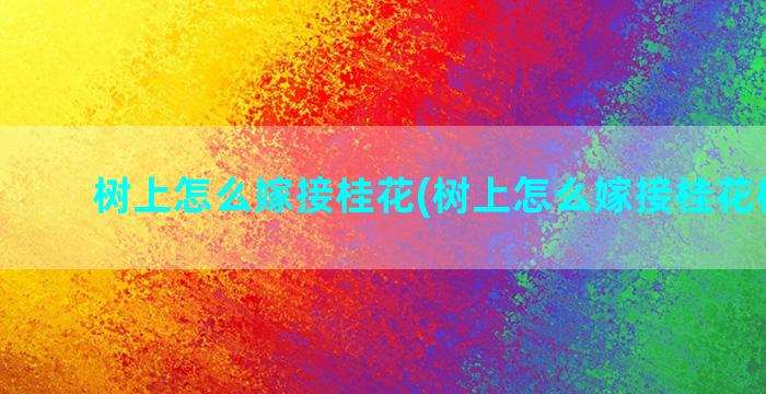 树上怎么嫁接桂花(树上怎么嫁接桂花树视频)