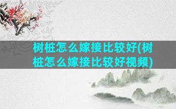 树桩怎么嫁接比较好(树桩怎么嫁接比较好视频)