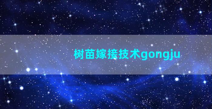 树苗嫁接技术gongju