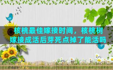 核桃最佳嫁接时间，核桃树嫁接成活后芽死点掉了能活吗