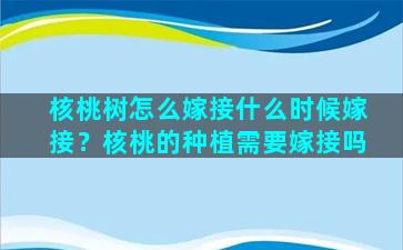 核桃树怎么嫁接什么时候嫁接？核桃的种植需要嫁接吗