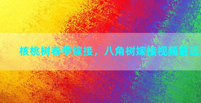 核桃树春季嫁接，八角树嫁接视频最迟是几月份