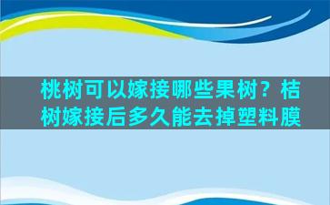 桃树可以嫁接哪些果树？桔树嫁接后多久能去掉塑料膜