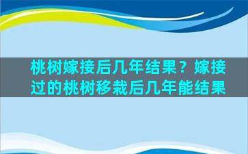 桃树嫁接后几年结果？嫁接过的桃树移栽后几年能结果