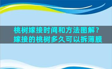 桃树嫁接时间和方法图解？嫁接的桃树多久可以拆薄膜