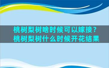 桃树梨树啥时候可以嫁接？桃树梨树什么时候开花结果