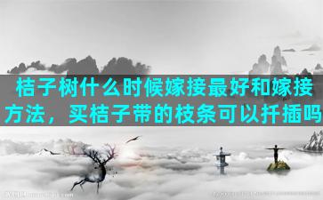 桔子树什么时候嫁接最好和嫁接方法，买桔子带的枝条可以扦插吗