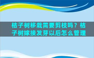 桔子树移栽需要剪枝吗？桔子树嫁接发芽以后怎么管理