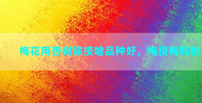 梅花用杏树嫁接啥品种好，梅接梅和桃接梅区别