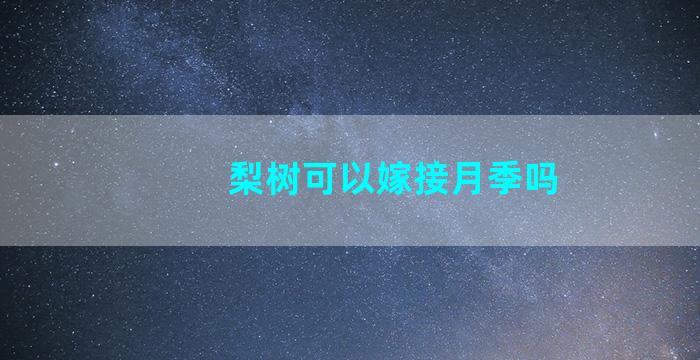 梨树可以嫁接月季吗