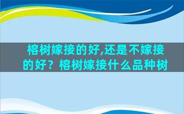 榕树嫁接的好,还是不嫁接的好？榕树嫁接什么品种树