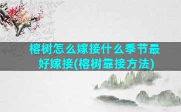 榕树怎么嫁接什么季节最好嫁接(榕树靠接方法)