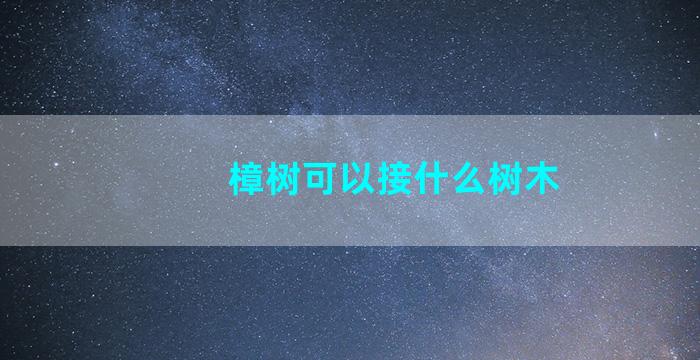 樟树可以接什么树木