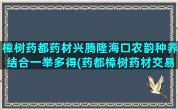 樟树药都药材兴腾隆海口农韵种养结合一举多得(药都樟树药材交易市场)