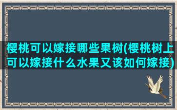 樱桃可以嫁接哪些果树(樱桃树上可以嫁接什么水果又该如何嫁接)