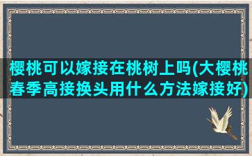 樱桃可以嫁接在桃树上吗(大樱桃春季高接换头用什么方法嫁接好)