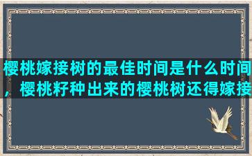 樱桃嫁接树的最佳时间是什么时间，樱桃籽种出来的樱桃树还得嫁接吗