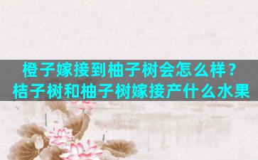 橙子嫁接到柚子树会怎么样？桔子树和柚子树嫁接产什么水果