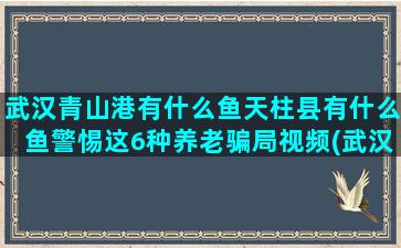 武汉青山港有什么鱼天柱县有什么鱼警惕这6种养老骗局视频(武汉青山港有什么鱼)