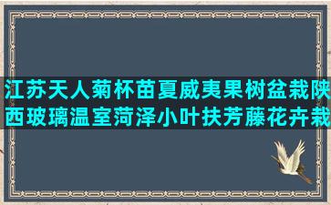 江苏天人菊杯苗夏威夷果树盆栽陕西玻璃温室菏泽小叶扶芳藤花卉栽培新技术有哪些(江苏天人菊杯苗出售)